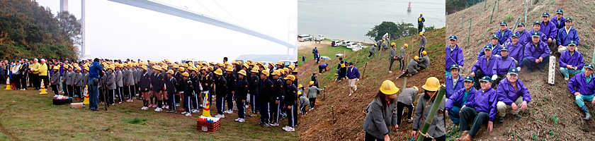 河津桜植樹事業