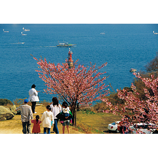 春は来島から