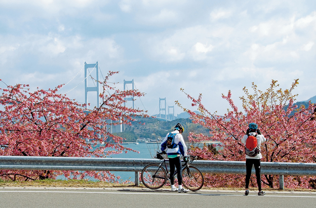 グランプリ：海道の花