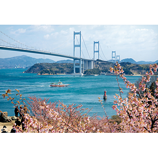 海道の春